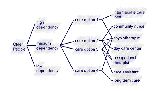 Care Map